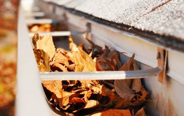 Braegarie gutter cleaning companies